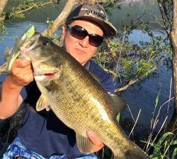 つりぴぃぽぉ釣果