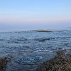 エギングサミットで初釣果!