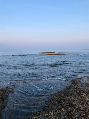 エギングサミットで初釣果!