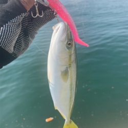 通りすがりラッキー♫