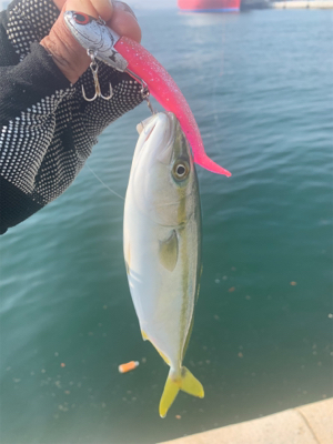 通りすがりラッキー♫