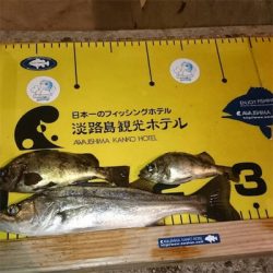 淡路島観光ホテル