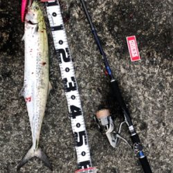 今、武庫一が熱い❗️