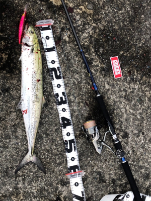 今、武庫一が熱い❗️