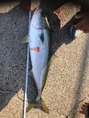 ノマセクラブ淡路釣行ルアーマン入門編