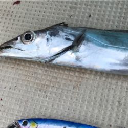 スーパーULジギング