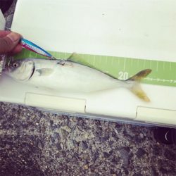 初のショアジギング