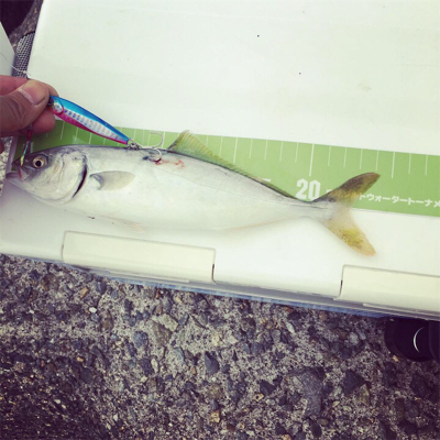 初のショアジギング