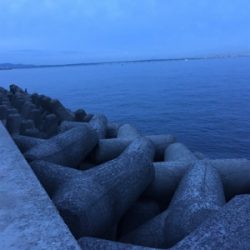 ジグサビキでツバス！