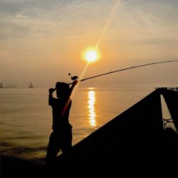 ツバスゲーム^_^