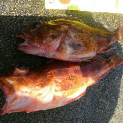 波強し、うねりあり