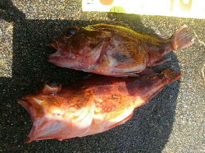 波強し、うねりあり