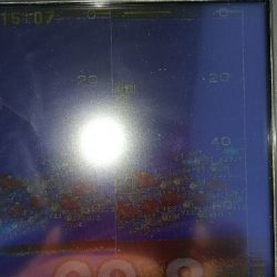 感度はあるけど