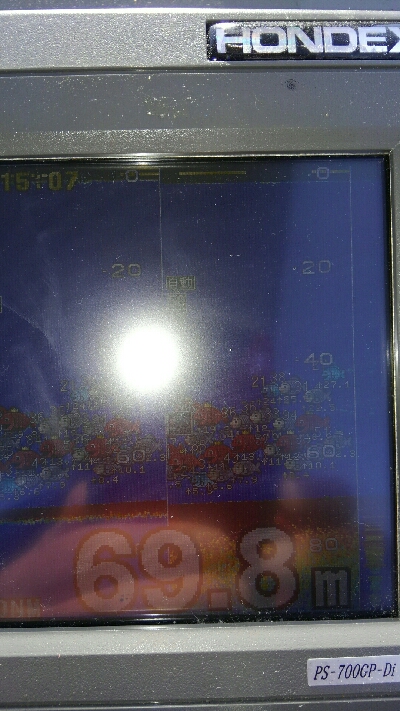 感度はあるけど