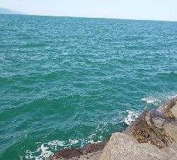 磯から90cmオーバーの鰤!ショアジギ。