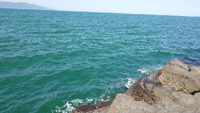 磯から90cmオーバーの鰤!ショアジギ。