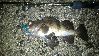 まだまだ開幕せず