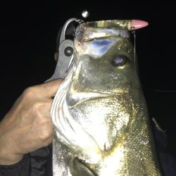 海釣り公園2日目