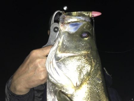 海釣り公園2日目