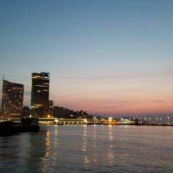 コウイカエギング