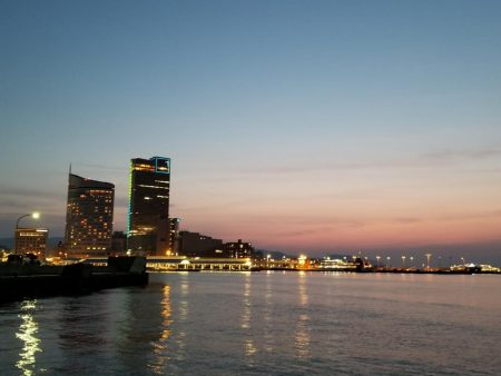 コウイカエギング