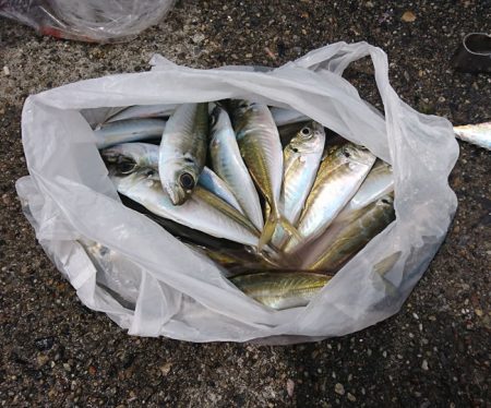 食べ頃アジゲット