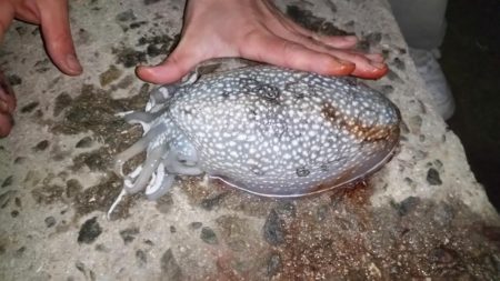 今年一番のサイズ♪