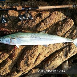 魚へんに春が、来たぁ～！