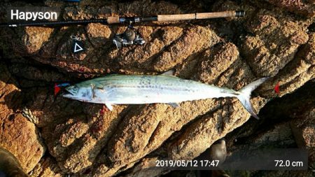 魚へんに春が、来たぁ～！