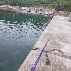 グィ────ン