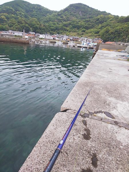 グィ────ン