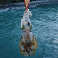 波バッシャーン！