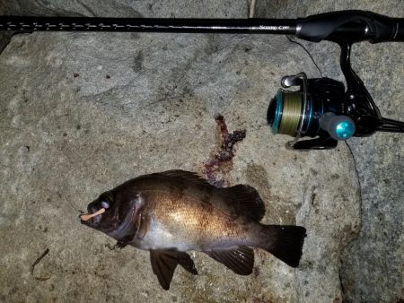 庵治フロートメバリング