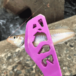 姫路キス釣り（2019-1）