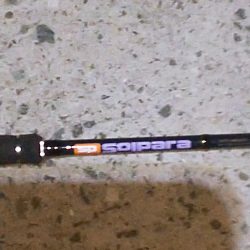 キミはいたんだね