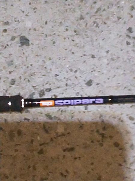 キミはいたんだね