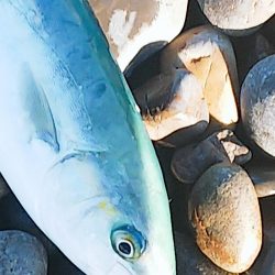 ハンマープライス