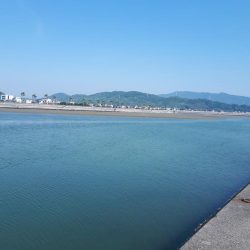 きすの天ぷらが食べたくて!!