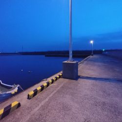 今日もがっちゃん