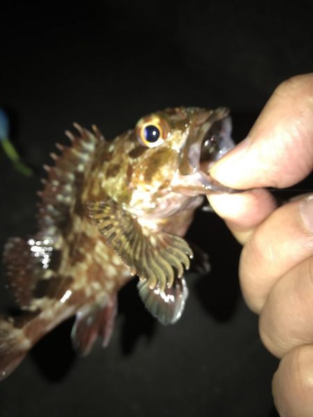 連休大潮初日なので