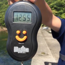 つりぴぃぽぉ釣果