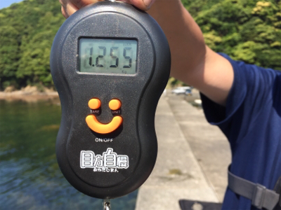 つりぴぃぽぉ釣果