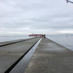 今期初、令和初