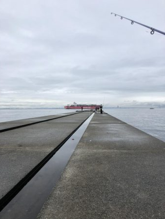 今期初、令和初