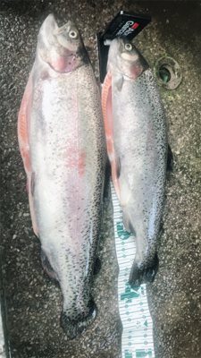 川場キングダムフィッシング