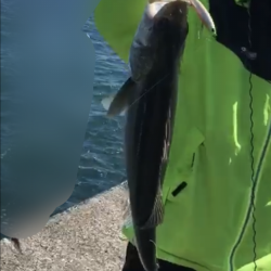 厳しい中の一枚