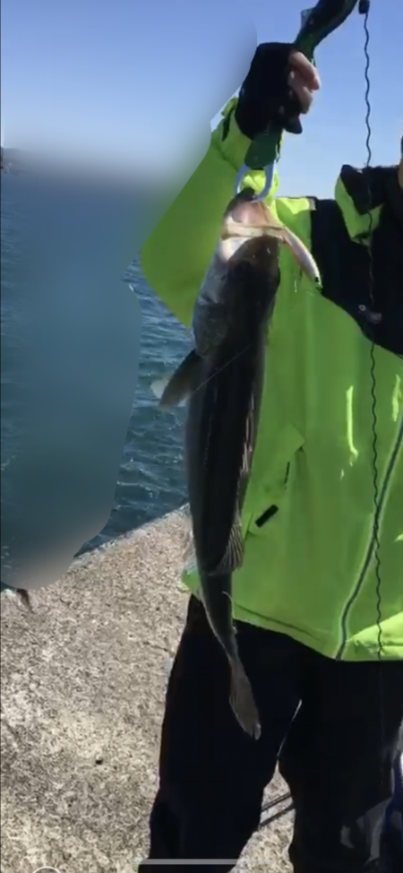 厳しい中の一枚