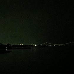 令和の最初は、希望のメバル