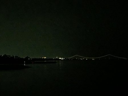 令和の最初は、希望のメバル