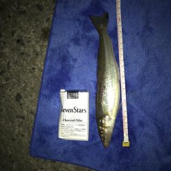 まさかのキス２２㎝